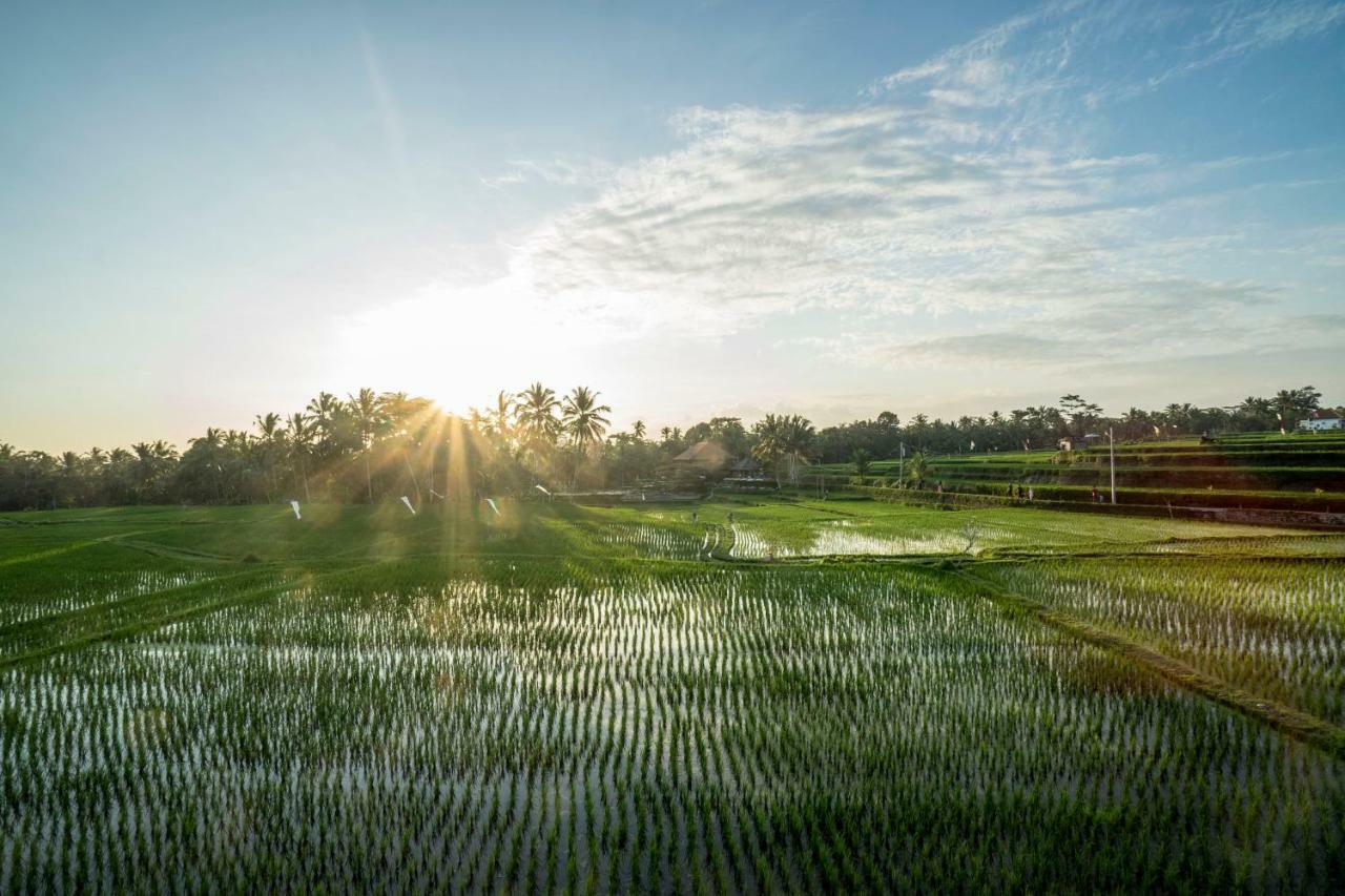 Villa Tanah Carik By Mahaputra Tegallalang  Dış mekan fotoğraf